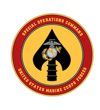 Special Operations Command insignia