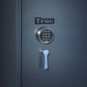 TRUE gun safe door