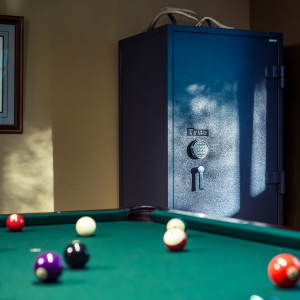 TRUE gun safe
