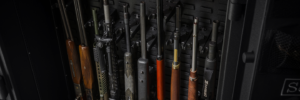 rifle storage